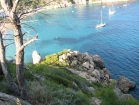 018balearipitiuse_m