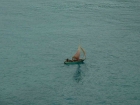 caraibi010_m