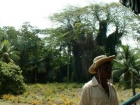 caraibi014_m