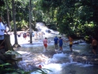 caraibi019_m