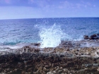 caraibi027_m