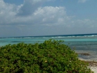 caraibi028_m