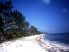 caraibi030_m