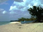 caraibi035_m