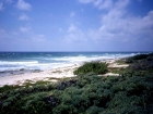 caraibi036_m