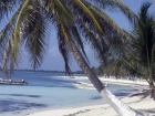 caraibi044_m