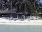 caraibi045_m
