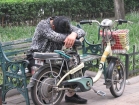 006cina2011_m