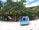 fiji008_m