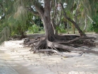 fiji017_m
