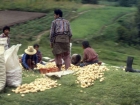guatemala011_m