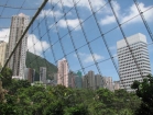 cina008_m