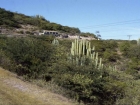 messico005_m