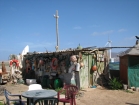 022canarie_m