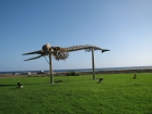 025canarie_m