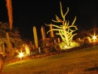 027canarie_m