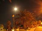 028canarie_m