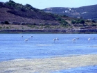 sardegna018_m