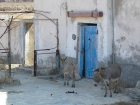 sardegna039_m