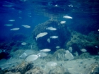 sardegna058_m