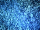 sardegna059_m